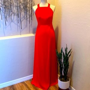 Stunning Jill Stuart Gown